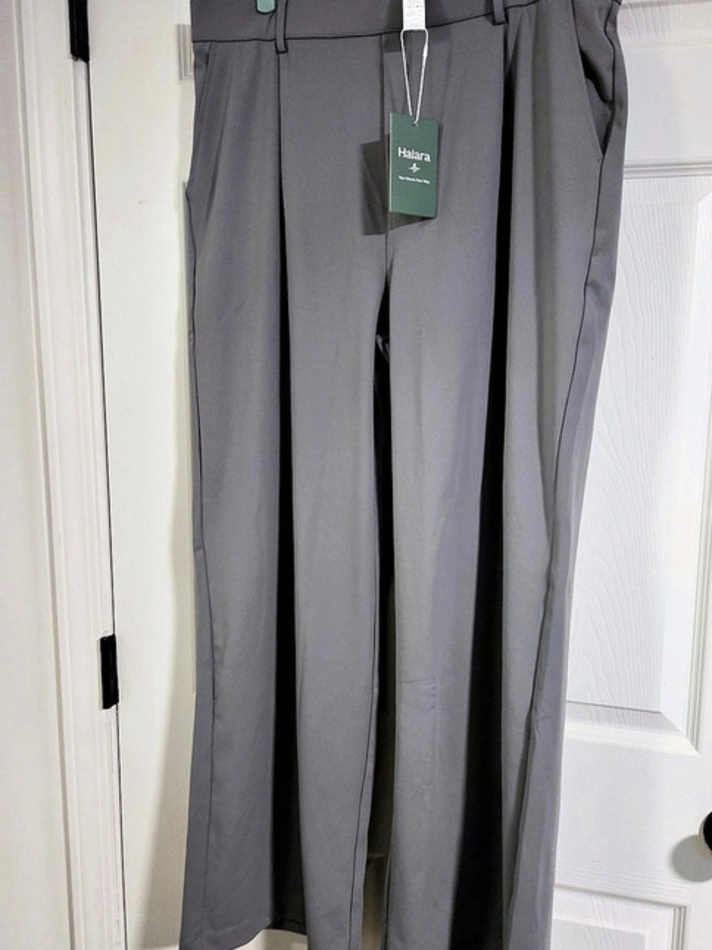 Halara Flex™ DayStretch High Waisted Pleated Wide Leg Work Pants with Pockets